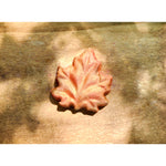 Load image into Gallery viewer, Fall Foliage Bath Bomb
