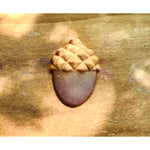 Load image into Gallery viewer, Autumn Acorn Bath Bomb
